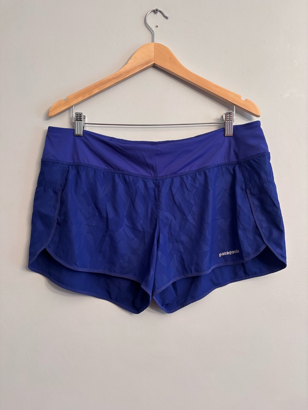 Patagonia Women’s Blue Athletic Shorts